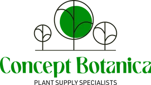 Concept Botanica